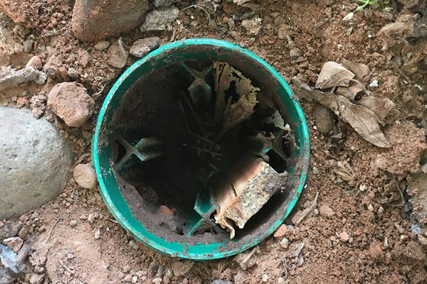 長沙白蟻防治,長沙白蟻防治公司,守護者生物工程