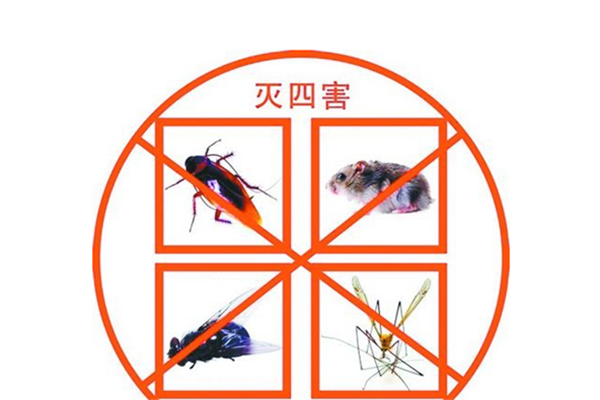 定期進行四害消殺真的有必要嗎？看完了你就知道了！