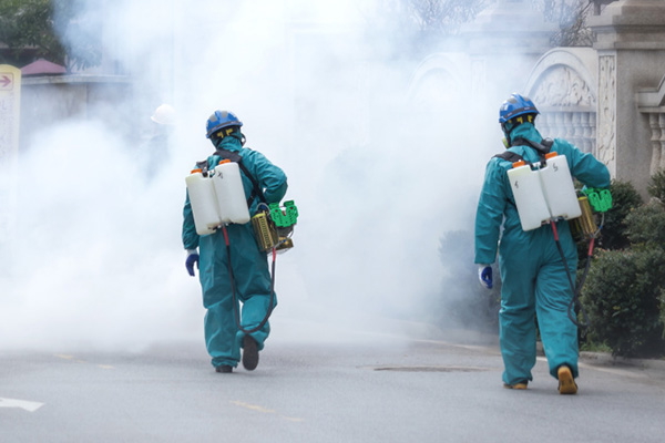 加盟有害生物防制：守護家園，遠離害蟲侵擾！