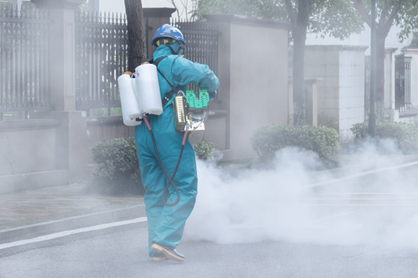 除四害公司加盟：為何這個(gè)行業(yè)如此火爆？