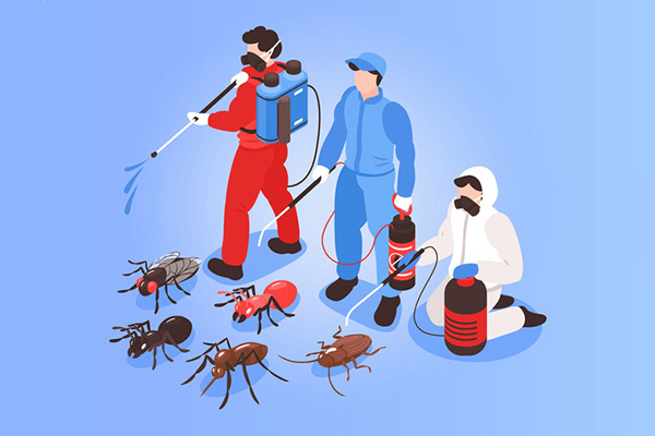 有害生物防制：為何需要專業人員來實施呢？