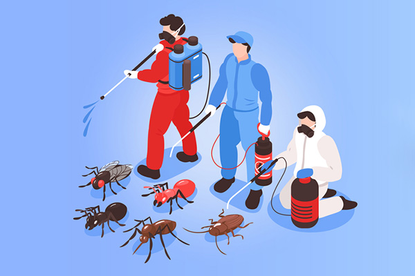 長沙四害消殺,除四害公司,長沙消殺公司,超市四害消殺,守護者生物工程